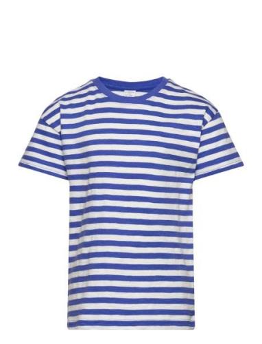 Top Ss Essential Stripe Tops T-shirts Short-sleeved Blue Lindex