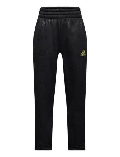 Adidas Sportswear Jb Blq4 Pant Svart