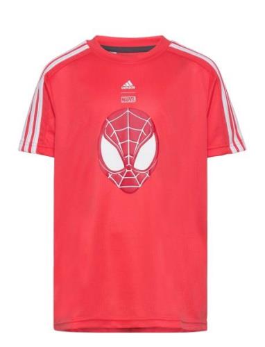 Adidas Sportswear Lb Dy Sm T Korall