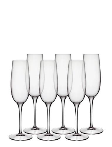 Champagneglas Palace 23,5 Cl 6 Stk. Klar Home Tableware Glass Champagn...