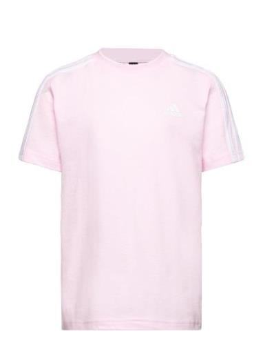 Lk 3S Co Tee Sport T-shirts Short-sleeved Pink Adidas Performance