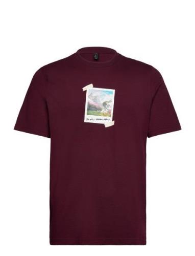 Adidas Sportswear M All Day I Tee Burgundy