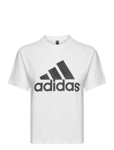 Adidas Sportswear W Aop Tee Vit