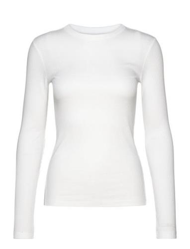 Cotton Rib Ls T-Shirt Tops T-shirts & Tops Long-sleeved White Calvin K...