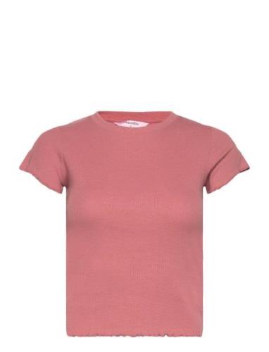 Top Ss Cotton Rib Babylock Tops T-shirts & Tops Short-sleeved Pink Hun...