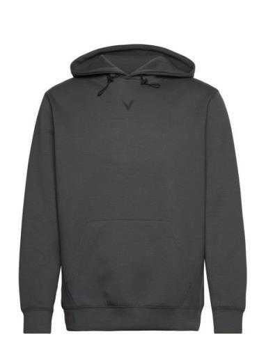 Virtus Taro M Technical Hoody Grå