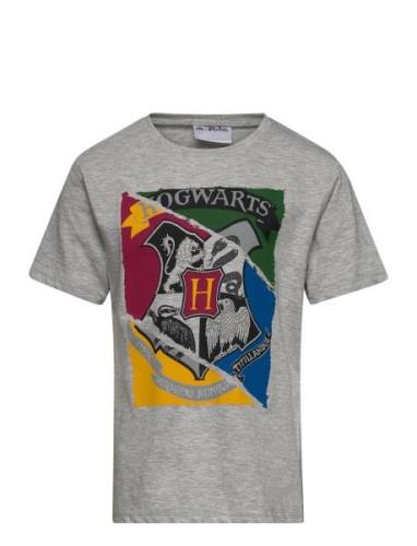 Short-Sleeved T-Shirt Tops T-shirts Short-sleeved Grey Harry Potter