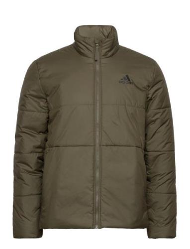 Adidas Sportswear Bsc 3S Ins Jkt Grön