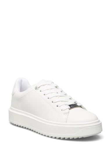 Steve Madden Catcher Sneaker Vit