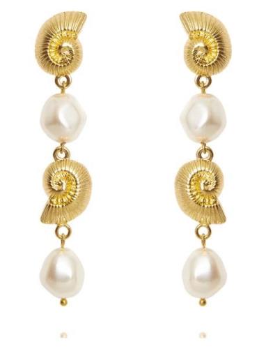 Shell Pearl Earrings Örhänge Smycken Gold Caroline Svedbom