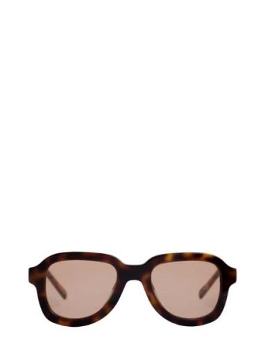 Corlin Eyewear Pascal Tortoise Cinnamon Brun