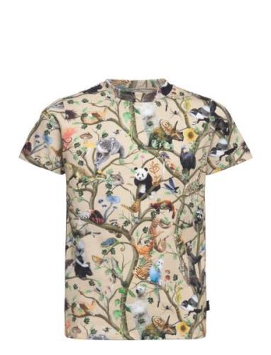 Ralphie Tops T-shirts Short-sleeved Multi/patterned Molo