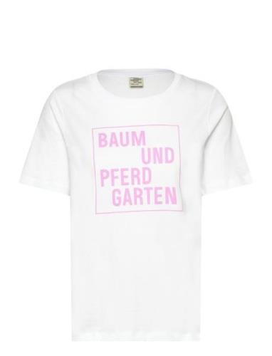 Baum Und Pferdgarten Jawo Vit