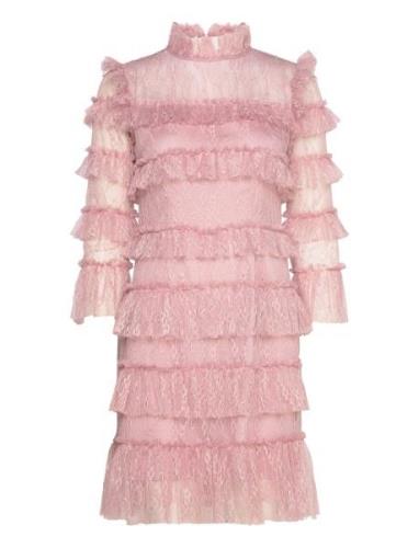 Carmine Frill Lace Mini Dress Designers Short Dress Pink Malina