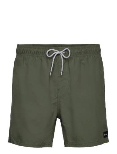 Offset Volley Badshorts Green Rip Curl