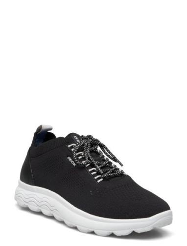 U Spherica A Låga Sneakers Navy GEOX