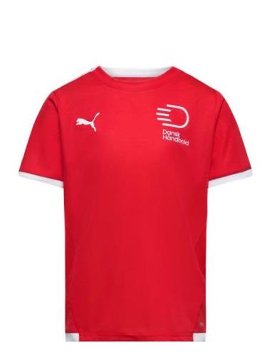Teamliga Jersey Jr Sport T-shirts Short-sleeved Red PUMA