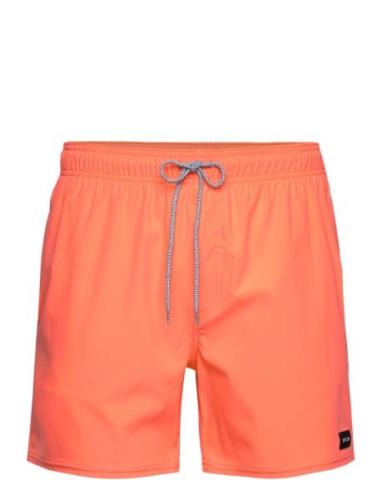 Daily Volley Badshorts  Rip Curl