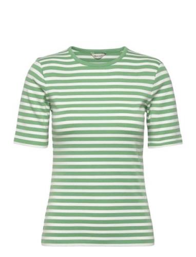 GANT Slim Striped 1X1 Ribbed Ss T-Shirt Grön