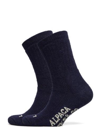 Alpacasocks 2-Pack Lingerie Socks Regular Socks Navy Alpacasocks&Co