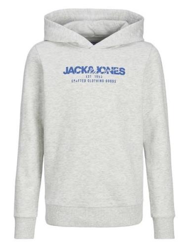 Jjalvis Sweat Hood Jnr Tops Sweat-shirts & Hoodies Hoodies Grey Jack &...