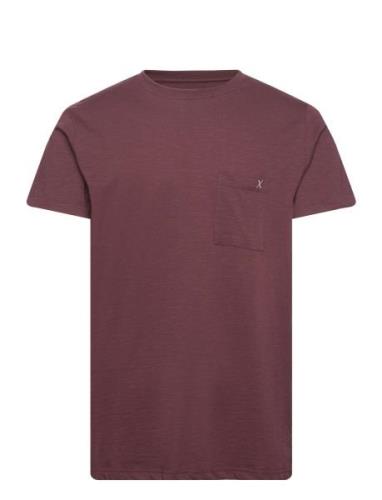 Kolding Organic Tee S/S Tops T-shirts Short-sleeved Purple Clean Cut C...