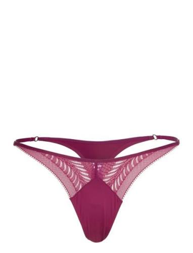 Thong Stringtrosa Underkläder Purple Calvin Klein