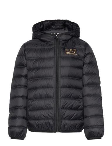 EA7 Down Jacket Svart