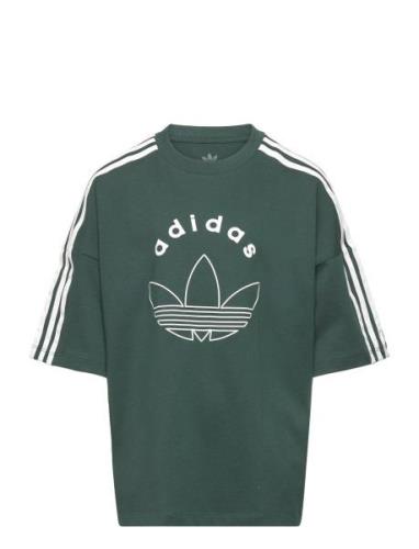 Tee Tops T-shirts Short-sleeved Green Adidas Originals