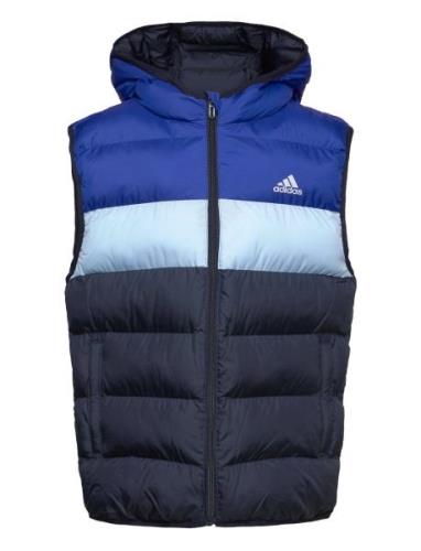 J Sd Vest Fodrad Väst Blue Adidas Sportswear