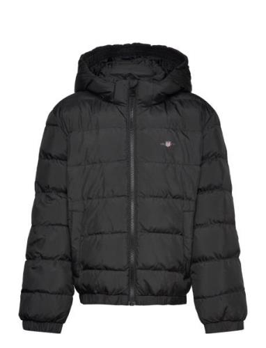 Shield Padded Jacket Fodrad Jacka Black GANT