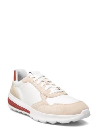 U Spherica Actif A Låga Sneakers White GEOX