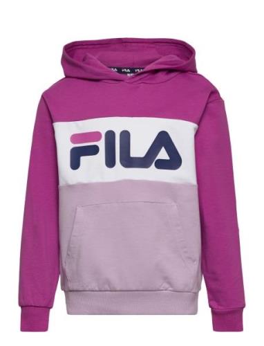 Bagana Blocked Hoody Sport Sweat-shirts & Hoodies Hoodies Pink FILA