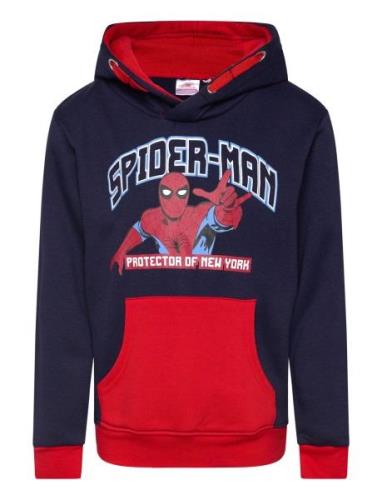 Sweats Tops Sweat-shirts & Hoodies Hoodies Navy Spider-man