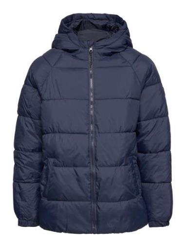 Hood Quilted Coat Fodrad Jacka Navy Mango