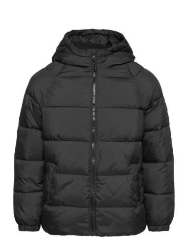 Hood Quilted Coat Fodrad Jacka Black Mango