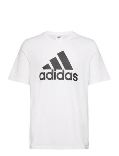 Adidas Sportswear M Bl Sj T Vit