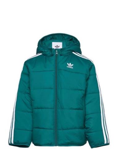 Padded Jacket Fodrad Jacka Green Adidas Originals