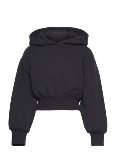 Cropped Hoody Tops Sweat-shirts & Hoodies Hoodies Black Tom Tailor