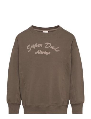 Sweatshirt Ls Tops Sweat-shirts & Hoodies Sweat-shirts Brown Minymo