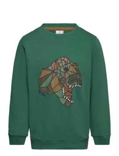 Tnlazaron Sweatshirt Tops Sweat-shirts & Hoodies Sweat-shirts Green Th...