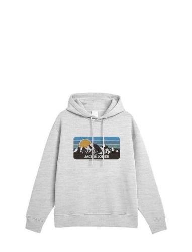 Jjpeak Sweat Hood Ln Tops Sweat-shirts & Hoodies Hoodies Grey Jack & J...