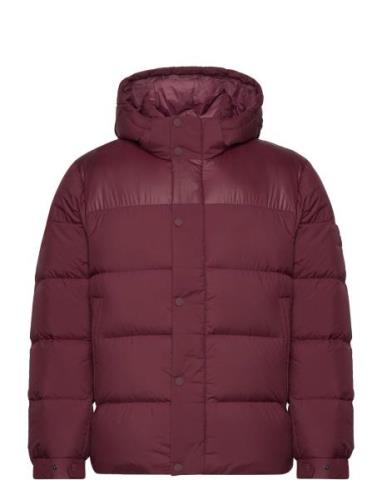 Tommy Hilfiger Mix Down Hooded Puffer Jacket Röd