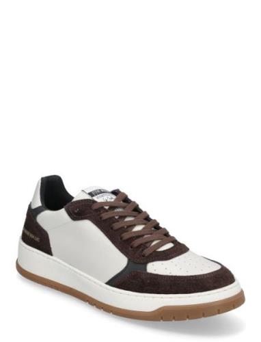 Ace Sneaker Låga Sneakers Brown Steve Madden