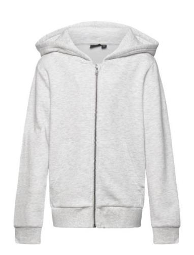 Nlnnizu Ls Bru Sweat Card W. Hood Noos Tops Sweat-shirts & Hoodies Hoo...