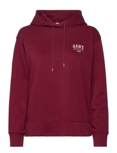 Small Graphic Hoodie Tops Sweat-shirts & Hoodies Hoodies Red GANT