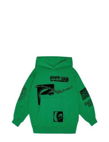 Maxx Tops Sweat-shirts & Hoodies Hoodies Green Molo