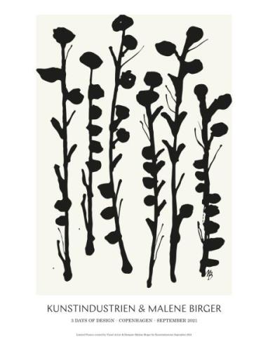 Abstract Flowers - Poster Home Decoration Posters & Frames Posters Bla...