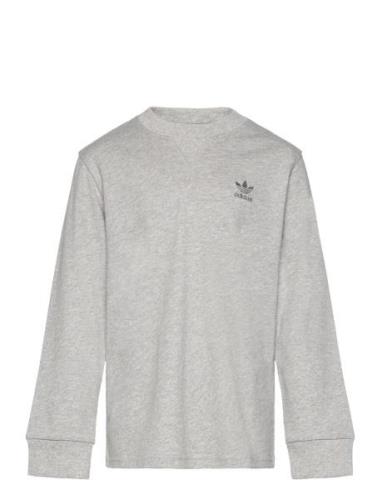 Long Sleeve Tops T-shirts Long-sleeved T-shirts Grey Adidas Originals