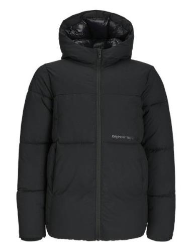 Jorvesterbro Puffer Jacket Aw24 Sn Jnr Fodrad Jacka Black Jack & J S